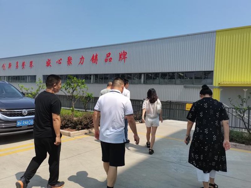 绿色蔬菜种植